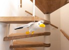 Ferienwohnung Nordic Nature Loft 