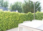 Ferienwohnung Frische Brise