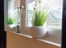 Ferienwohnung Olive Garden