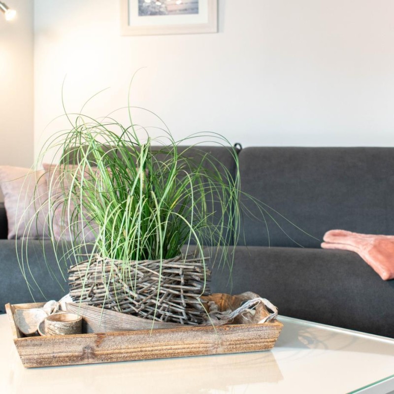Ferienwohnung Sommerwind
