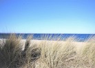 Ferienhaus HAFF COAST