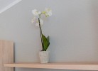 Ferienwohnung Gorch Fock Park Appartement 19
