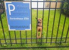 Ferienhaus 'Ellie'