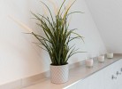 Ferienwohnung Bude 37 Whg 7